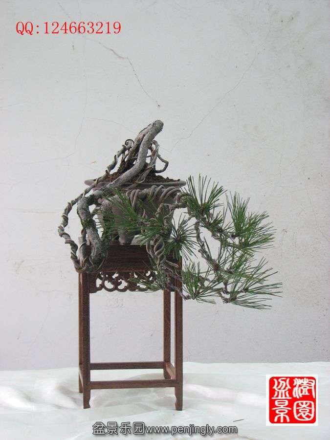IMG_0845_.jpg