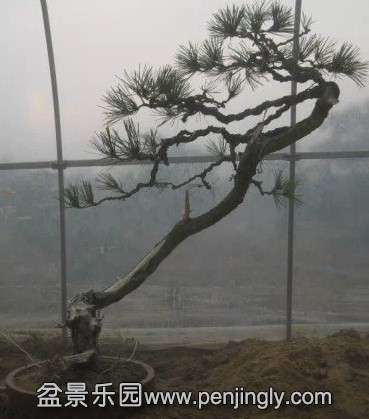 QQͼƬ20140304191506.jpg