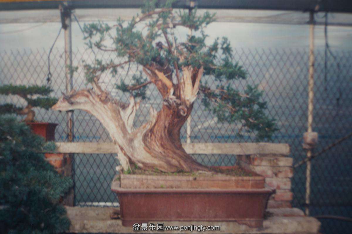 2002.jpg