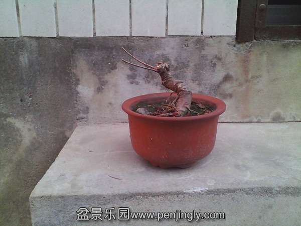 IMG_20140304_173016.jpg