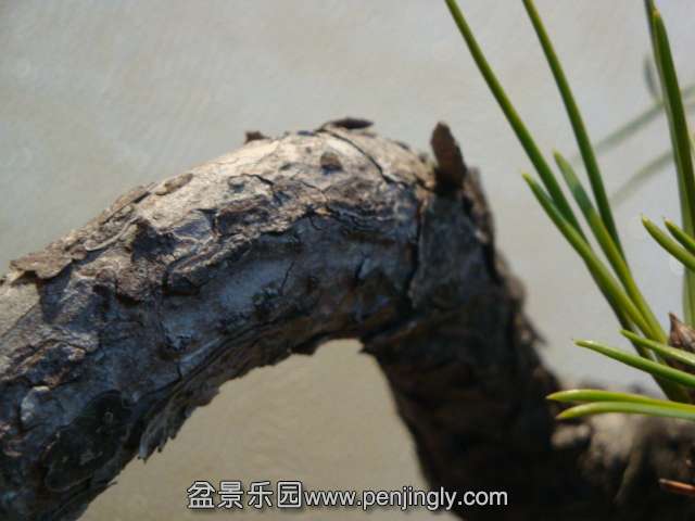 DSC07181.JPG