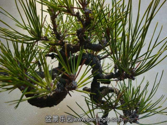 DSC07182.JPG
