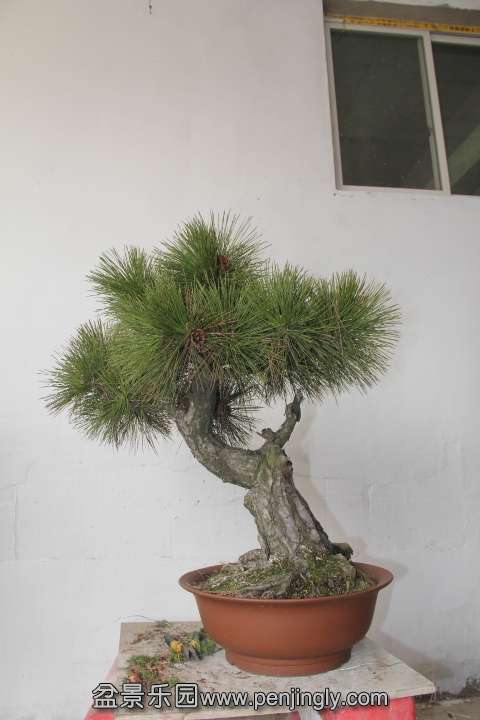 2.