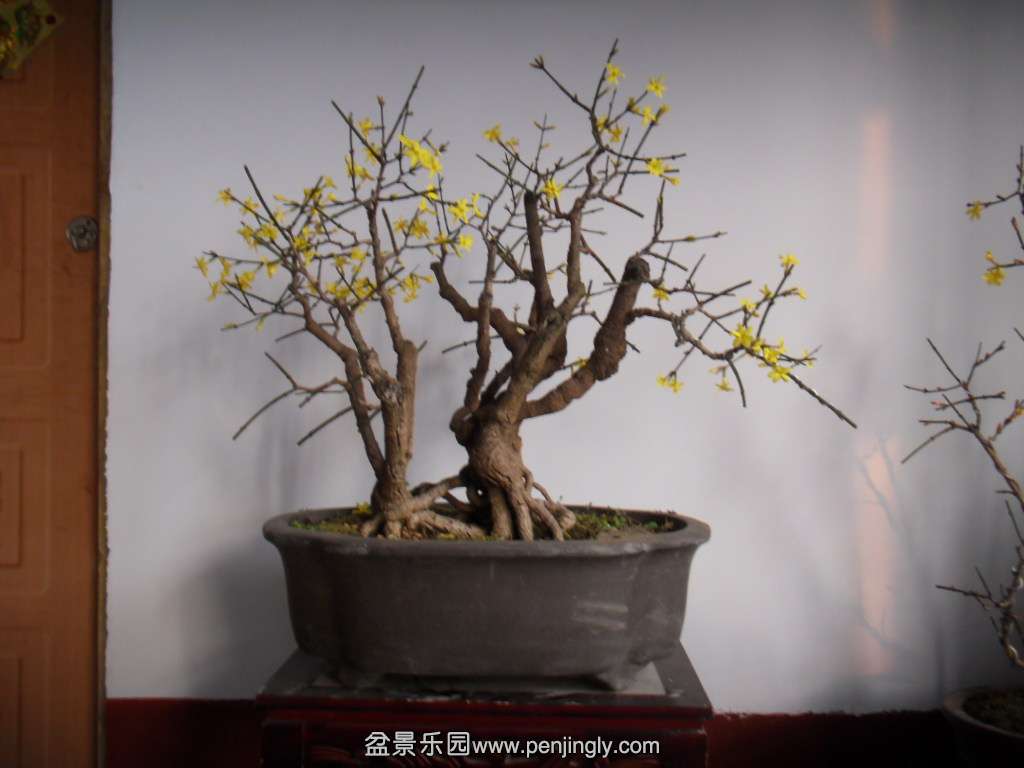 SDC18577.JPG