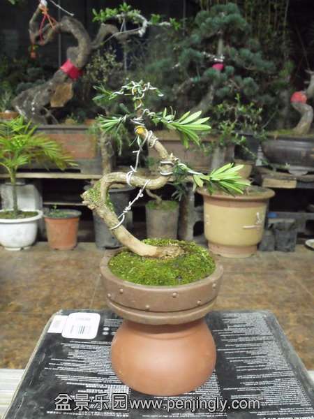 DSCF3289.jpg