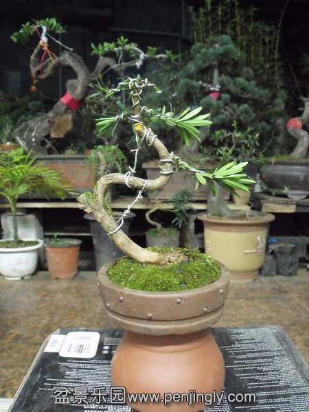 DSCF3292.jpg