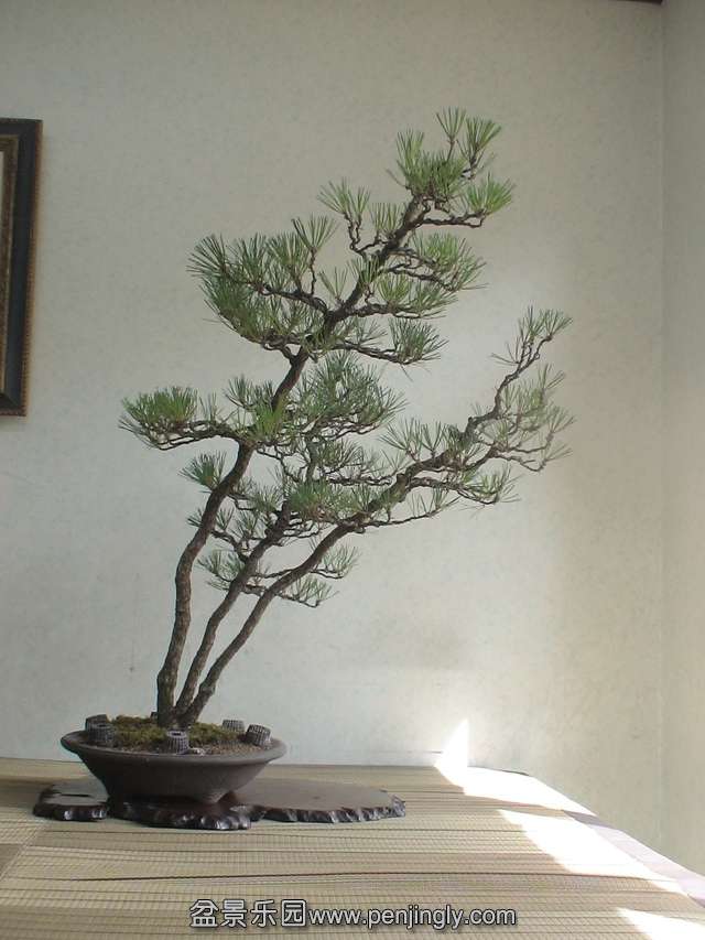 c0042153_734239.jpg