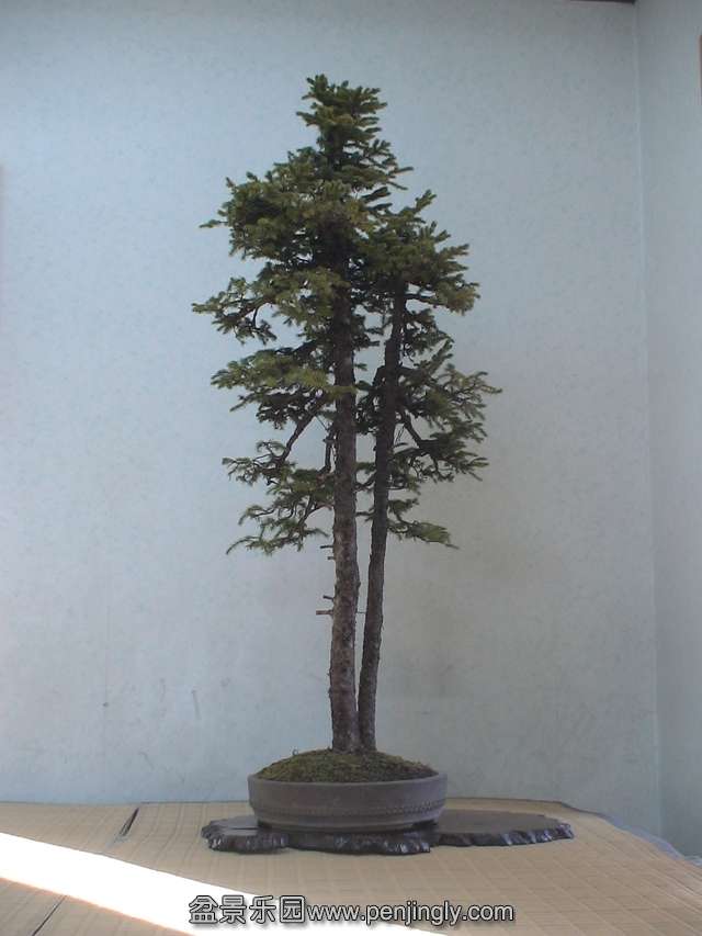 c0042153_851139.jpg