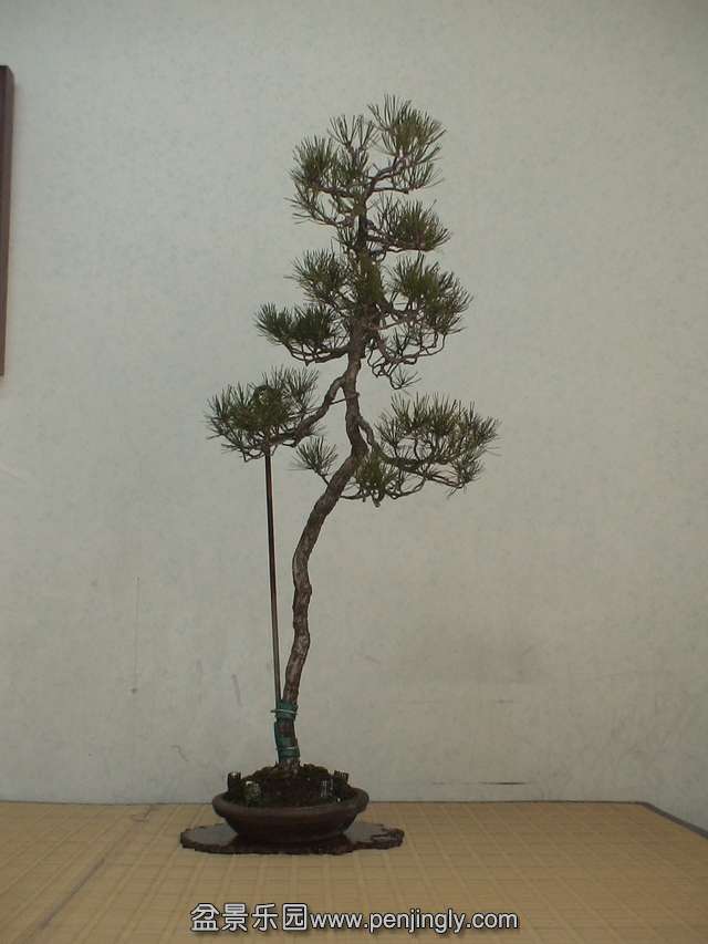 c0042153_985193.jpg