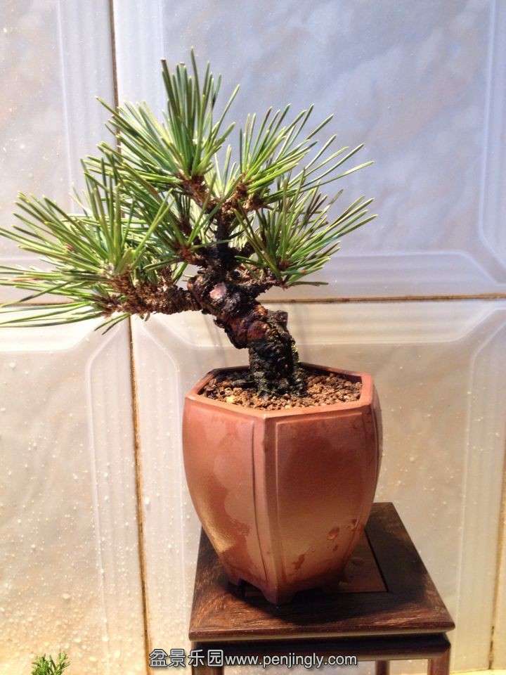 QQͼƬ20140309155745.jpg