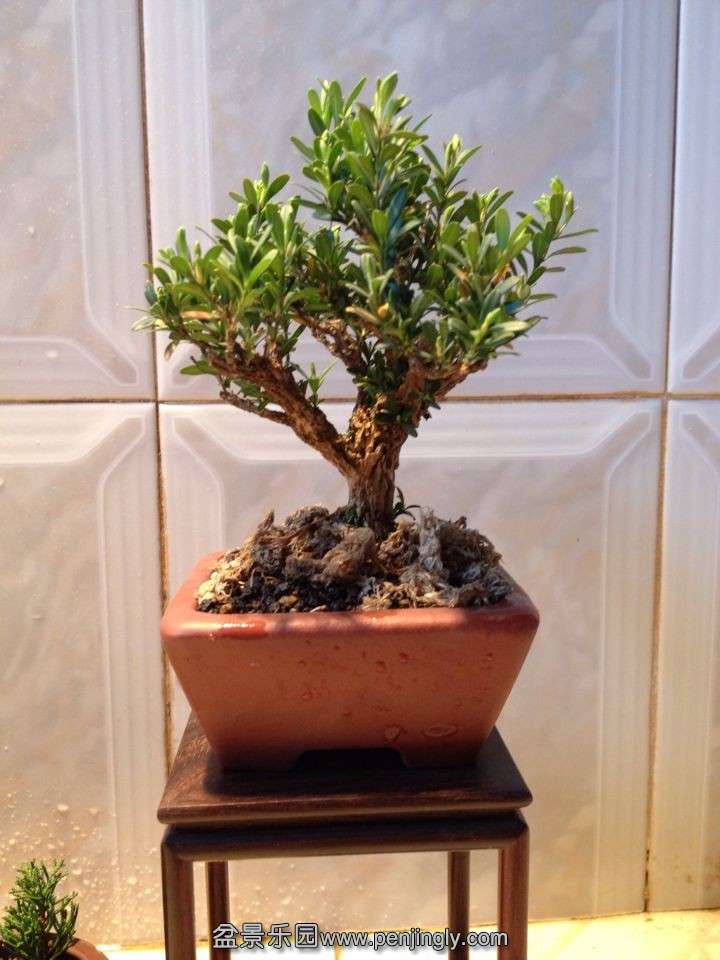 QQͼƬ20140309155805.jpg