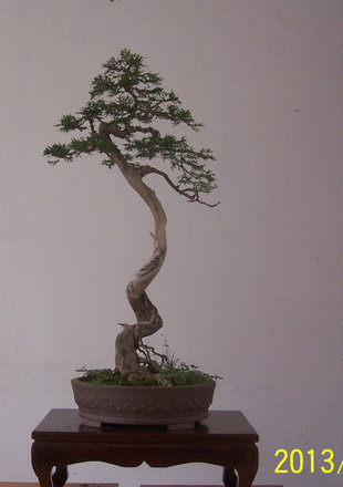 101B3400_.JPG