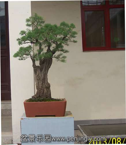 102B0530_.JPG