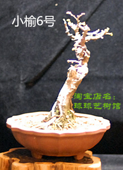 С6.4.jpg