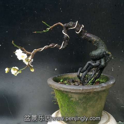 201403122255.jpg