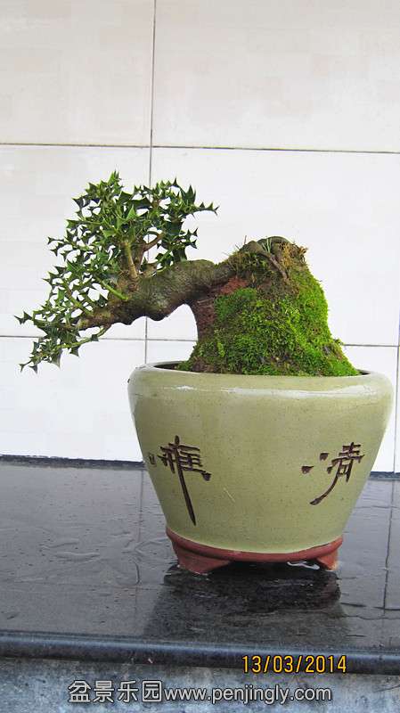 IMG_4616.JPG