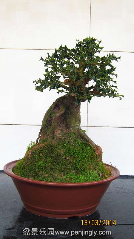 IMG_4621.JPG