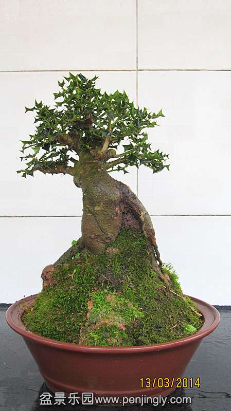 IMG_4622.JPG