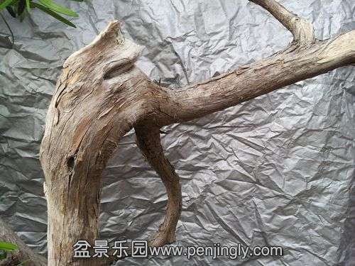 20140313_170240_.jpg
