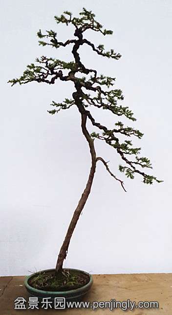20140228_162545.jpg