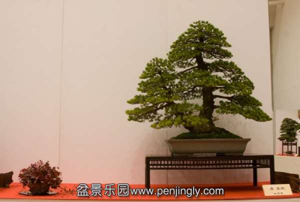 082224p5447ty0cxt7ty7u.jpg.thumb.jpg