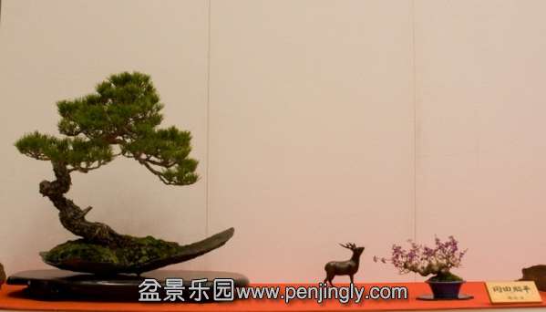 082225kvps5im555icpx5r.jpg.thumb.jpg