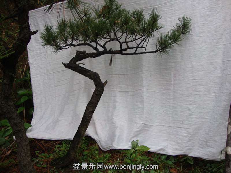 DSC01729_.jpg