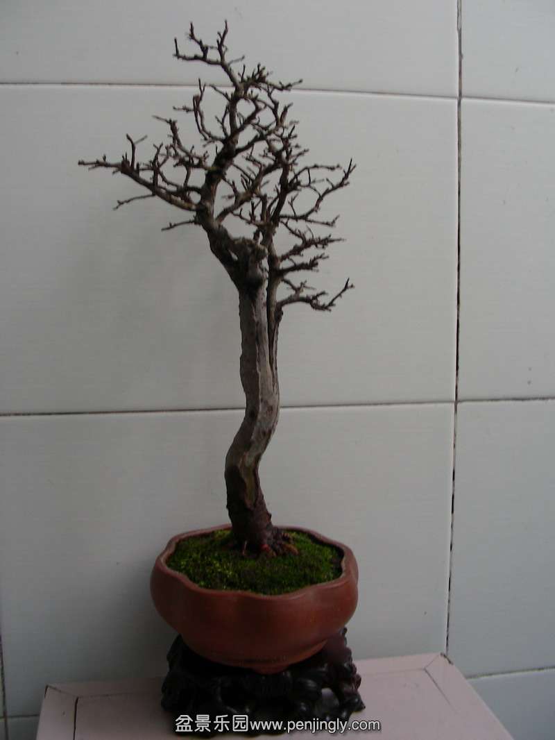 DSCN3626.JPG