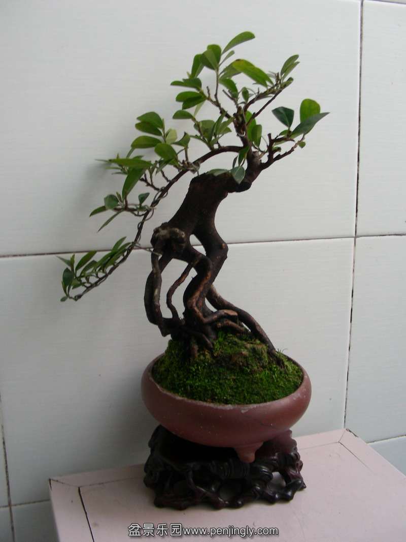 DSCN3628.JPG