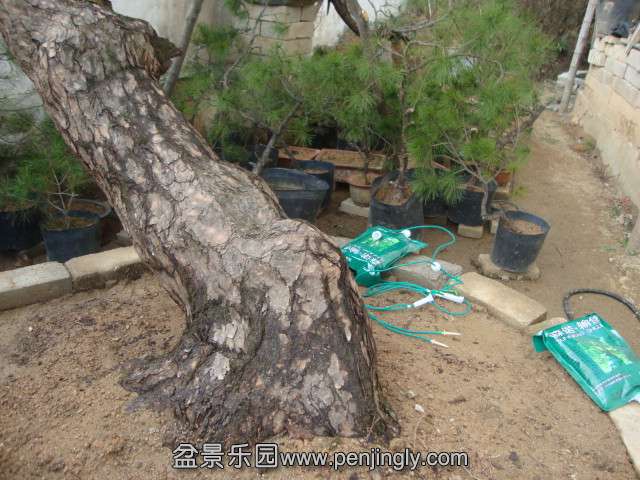DSC02186_.jpg