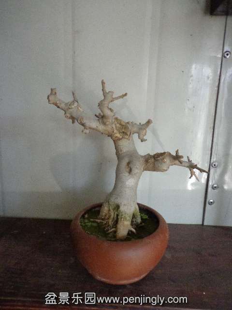 DSC00368.JPG