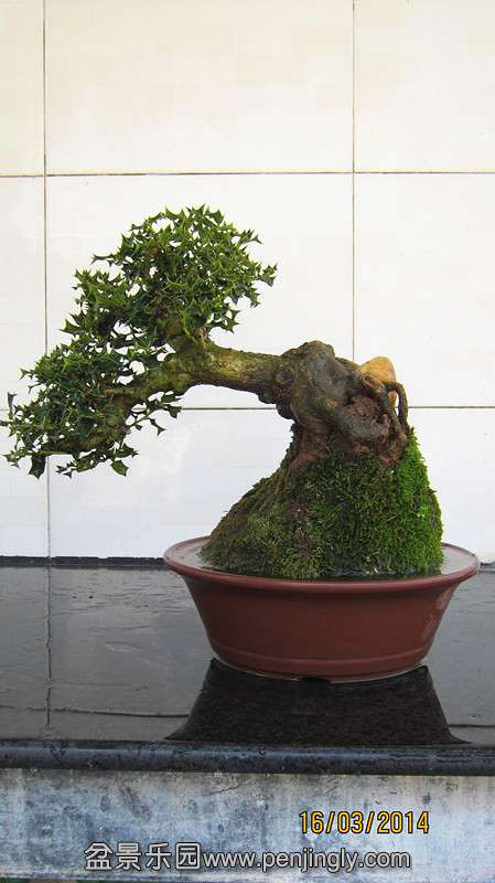 IMG_4630.JPG