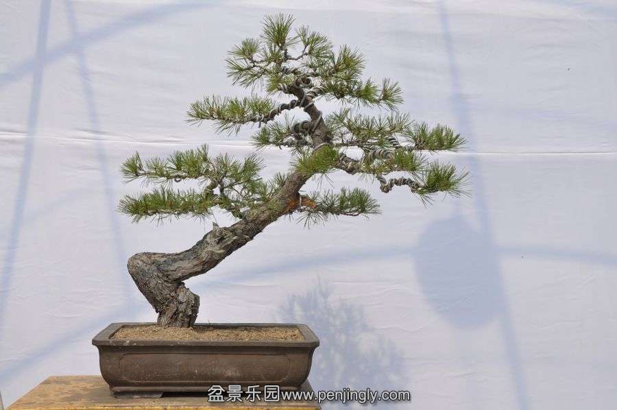 ҵ辰 010.jpg