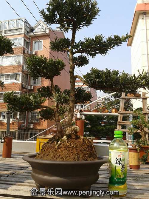 2014-03-14 14.35.55.jpg