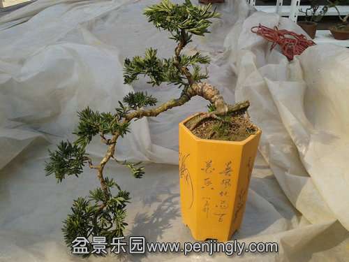 2014-03-14 14.40.41.jpg