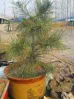 QQͼƬ20140315183302_.jpg