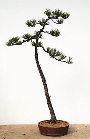 20140307_151431.jpg