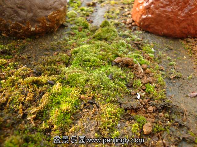 DSC07377.JPG