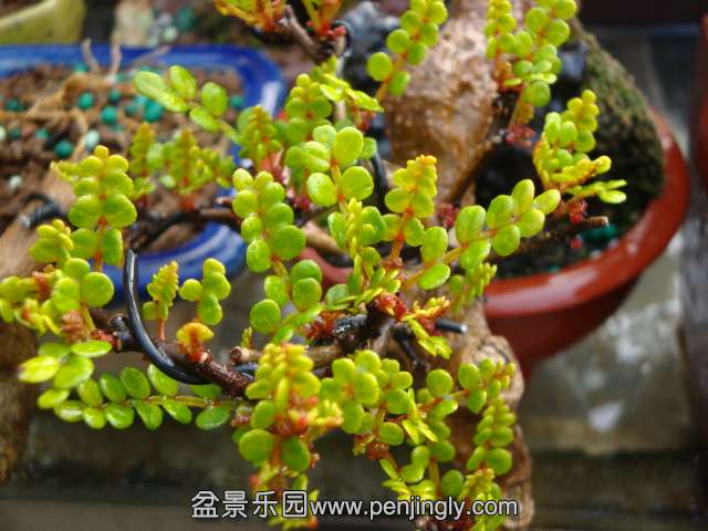 DSC07352.JPG