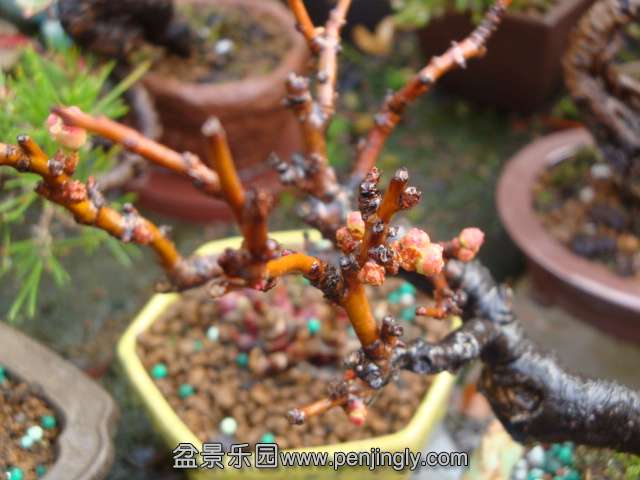DSC07353.JPG