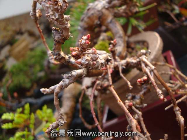 DSC07355.JPG