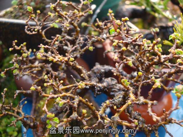 DSC07356.JPG