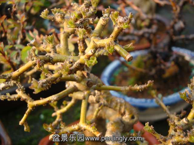 DSC07358.JPG