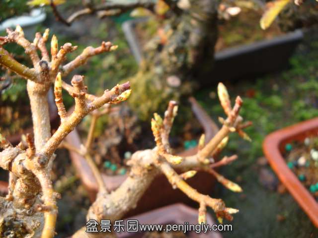 DSC07359.JPG