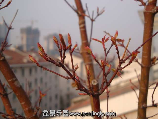 DSC07362.JPG