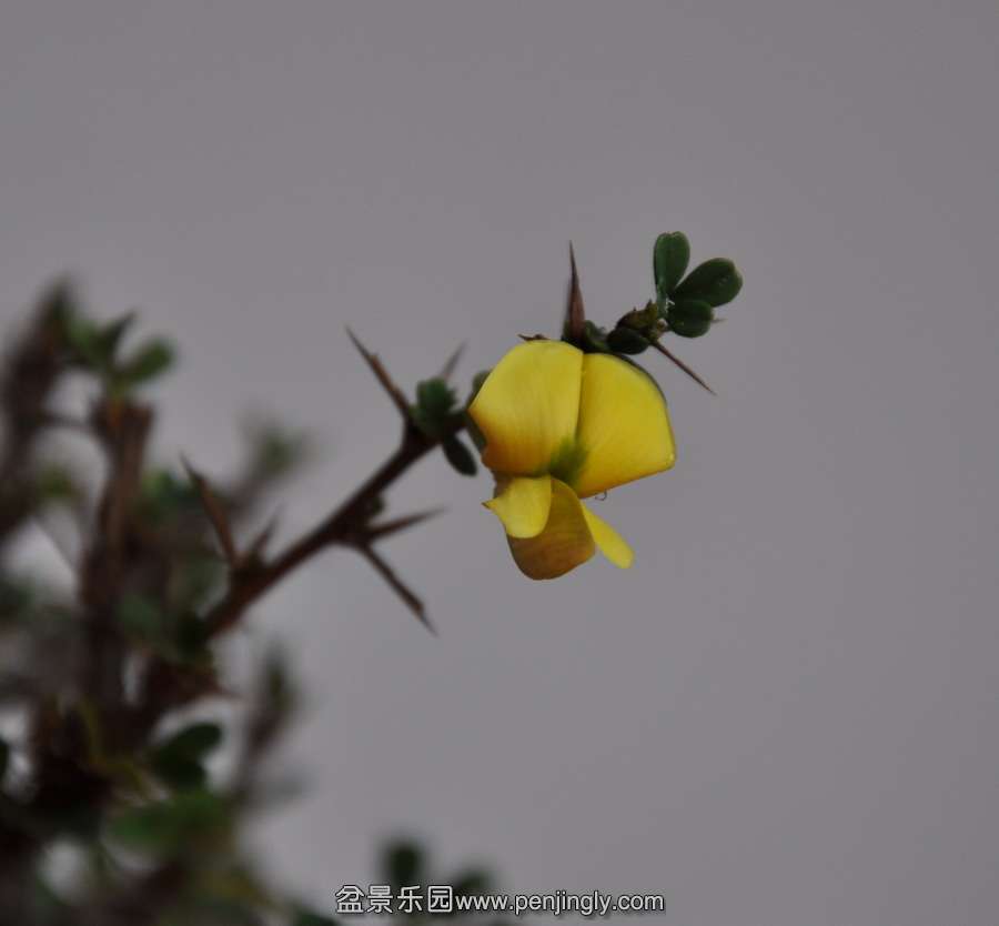 DSC_0815.jpg