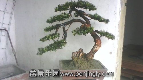 IMG_20140318_114701.jpg