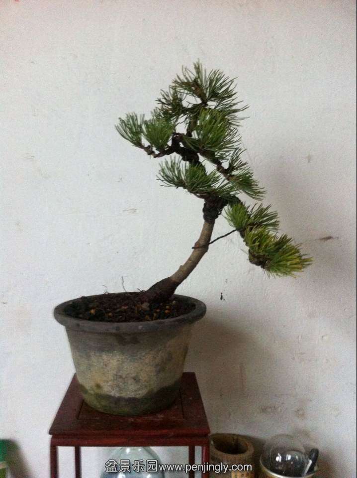 QQͼƬ20140319150654.jpg
