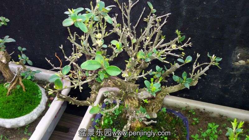 20140320_134323.jpg