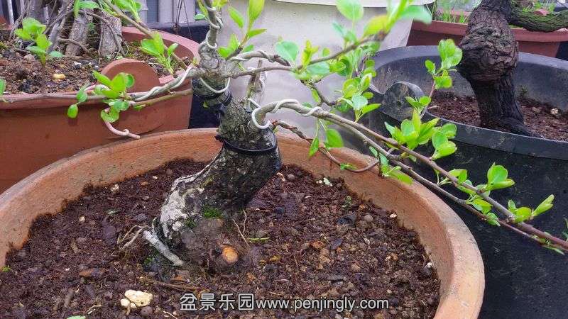 20140320_134443.jpg